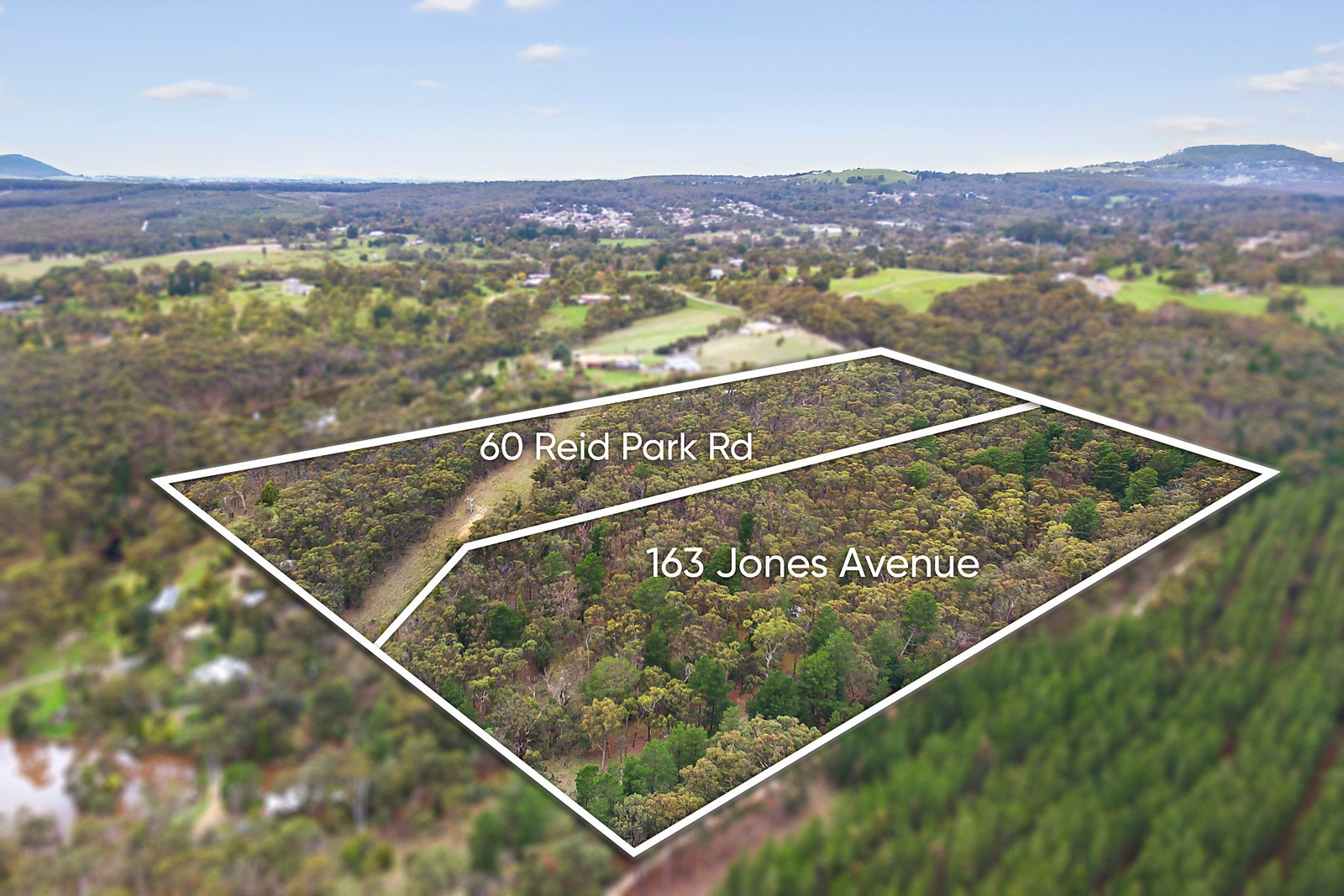 163 Jones Avenue, Mount Clear image 2
