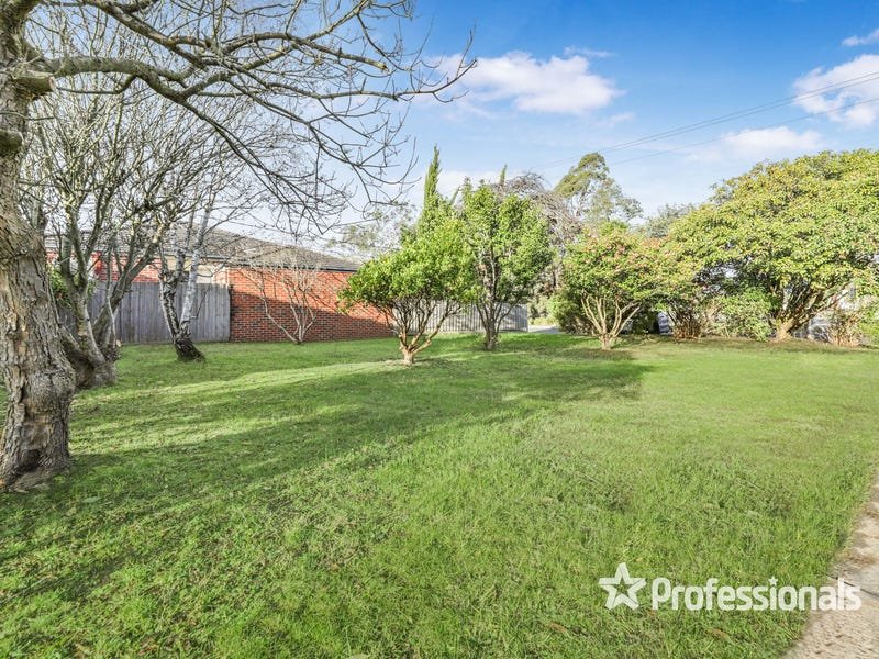 163 Maroondah Highway, Croydon image 15