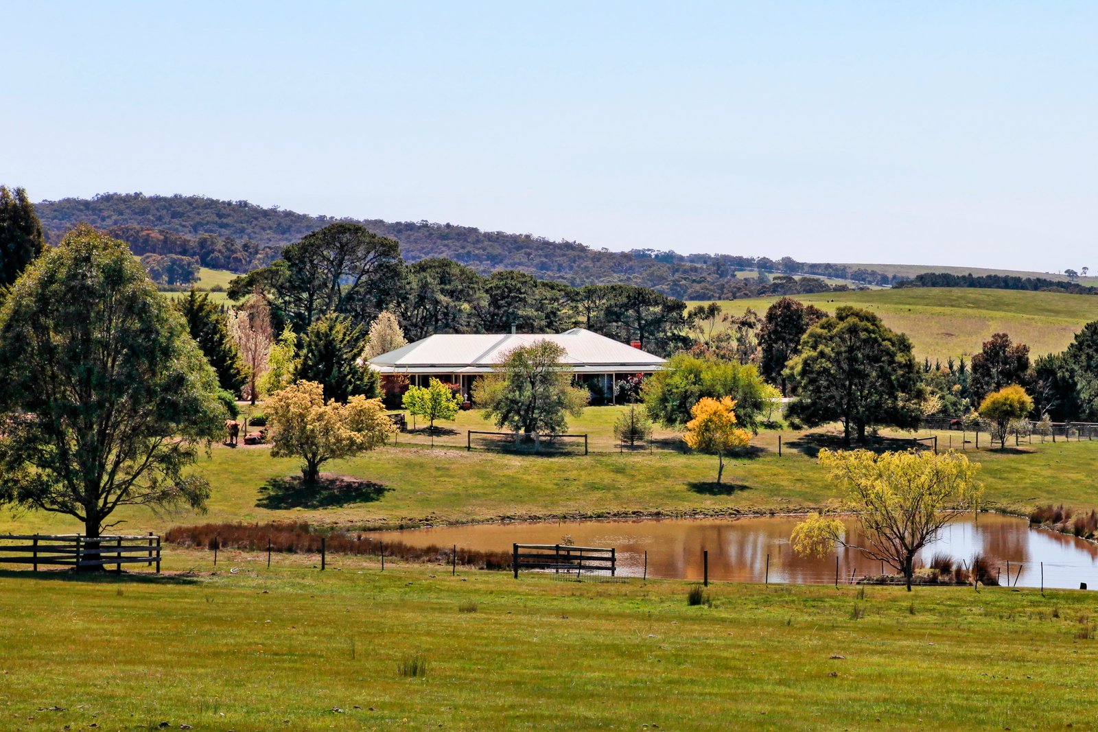 164 Mount Charlie Road, Riddells Creek RT Edgar