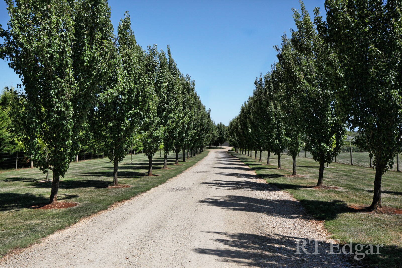 Property Gallery Thumbnail 26