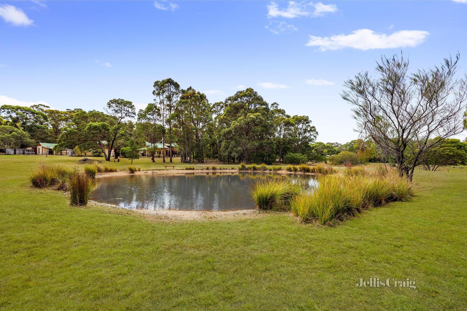 165 Kennedys Road, Smythes Creek image 20