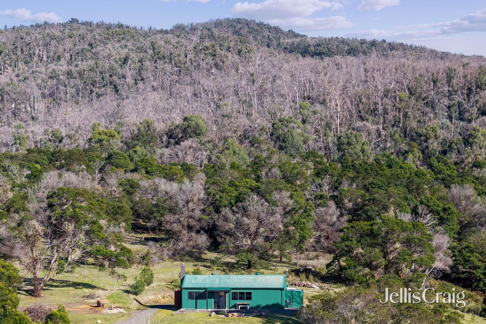 165 Richardsons Road, Raglan image 12