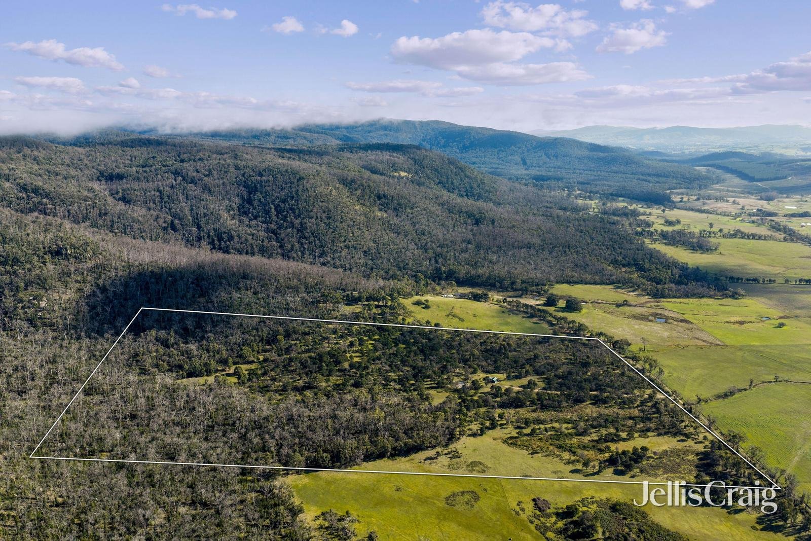 165 Richardsons Road, Raglan image 13