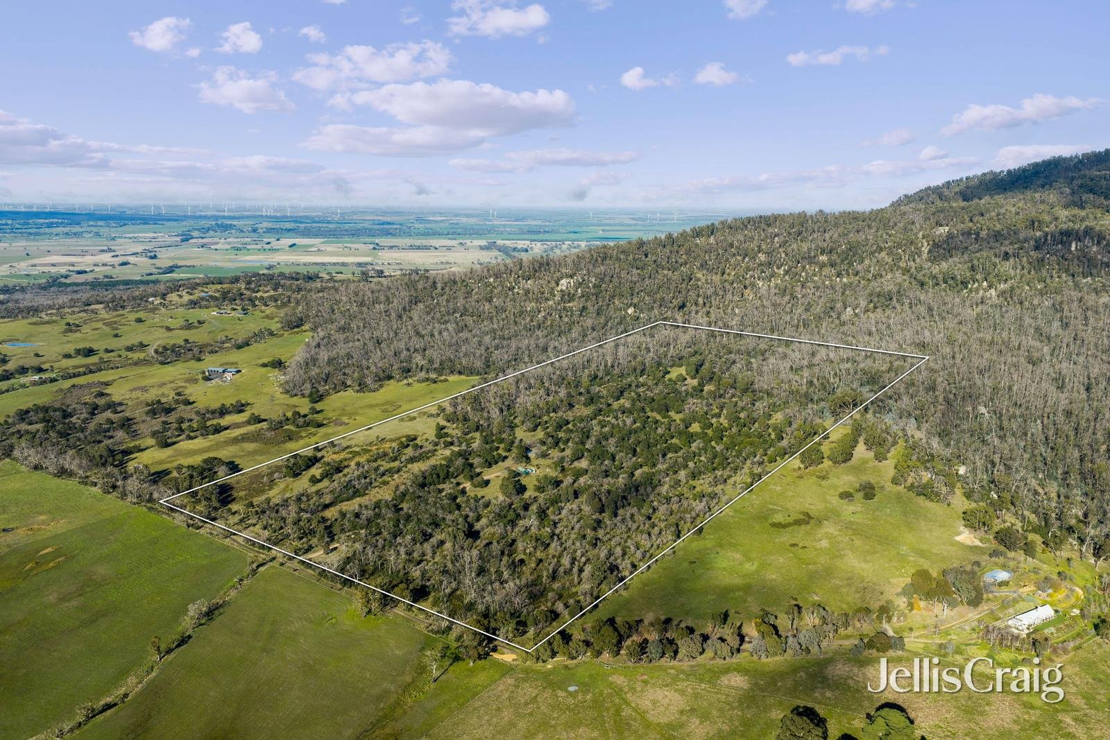 165 Richardsons Road, Raglan image 14