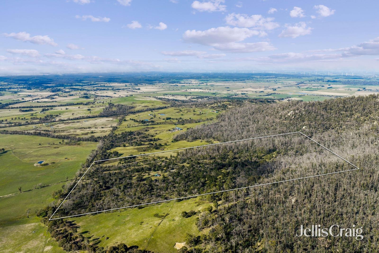 165 Richardsons Road, Raglan image 15