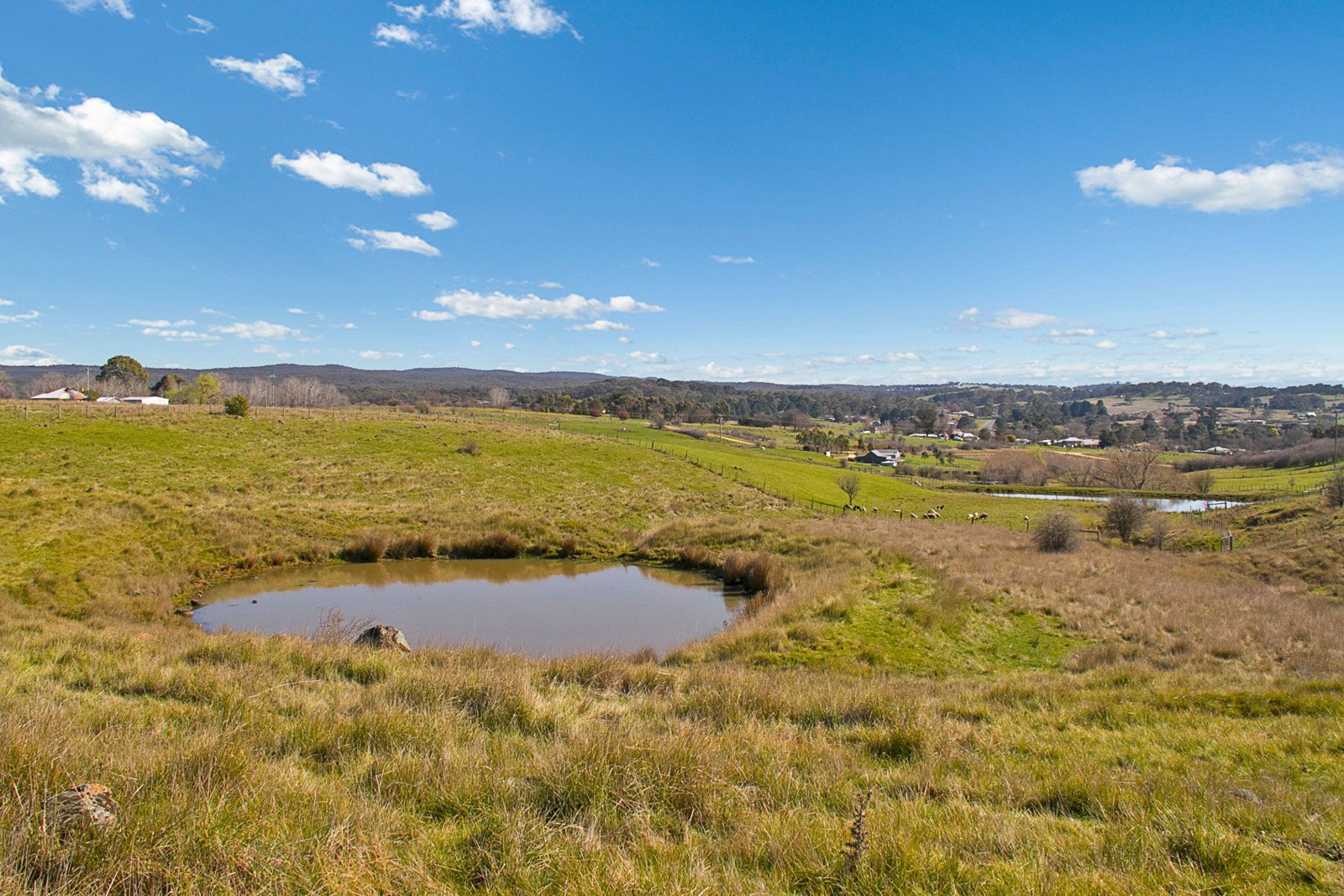 1658 Calder Highway, Taradale image 8