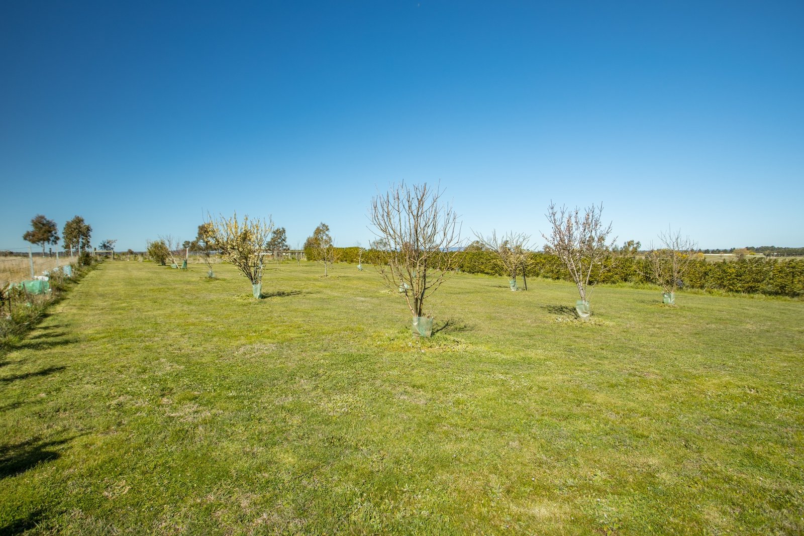 Property Gallery Thumbnail 18