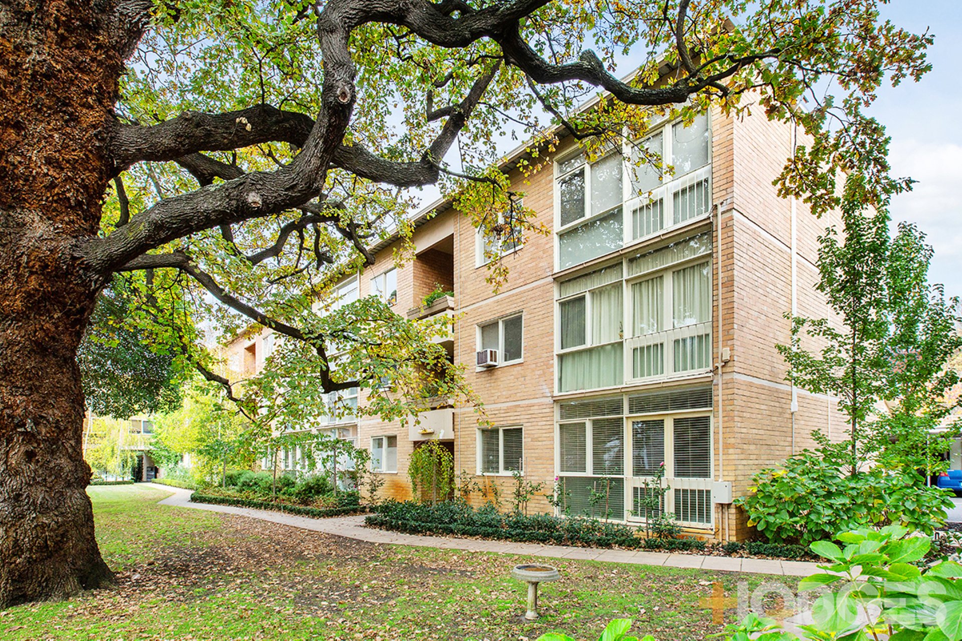 16 / 61 Kooyong Road Armadale