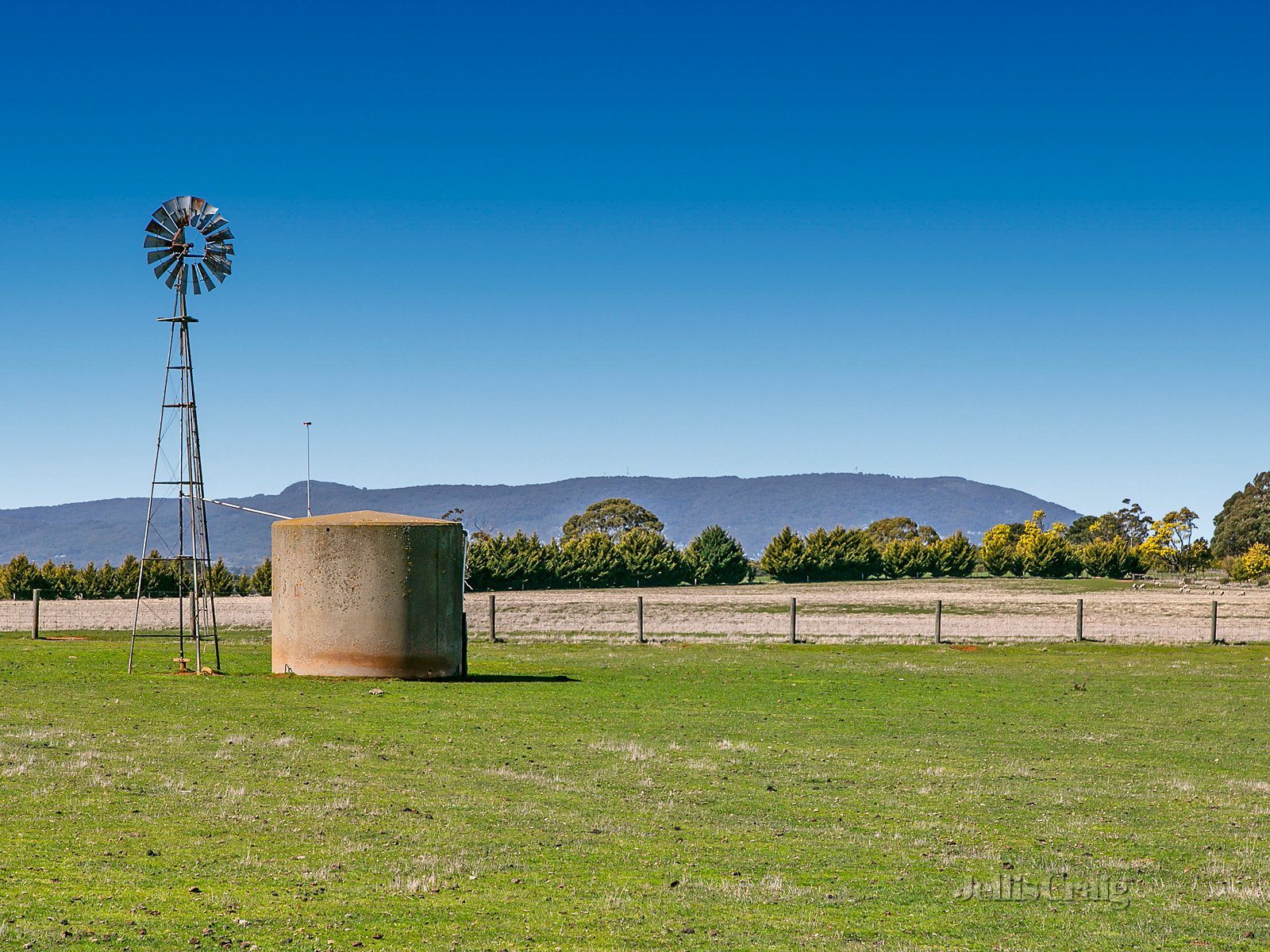 167 Bourke Lane, Tylden image 3