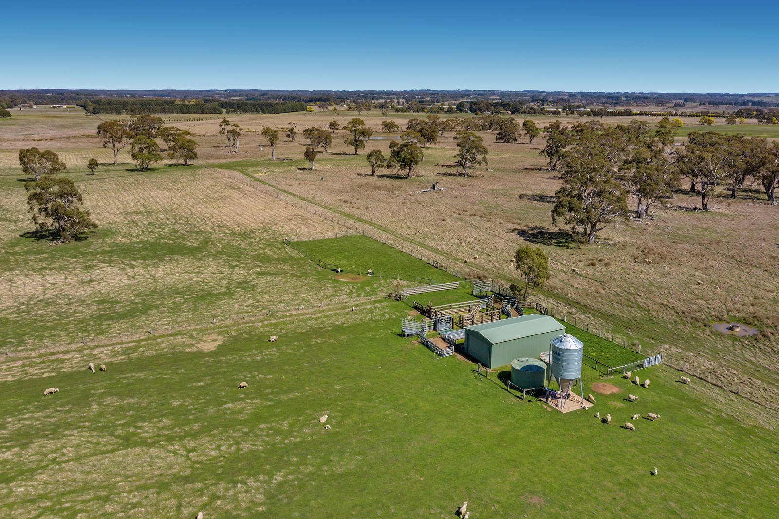 167 Bourke Lane, Tylden image 6