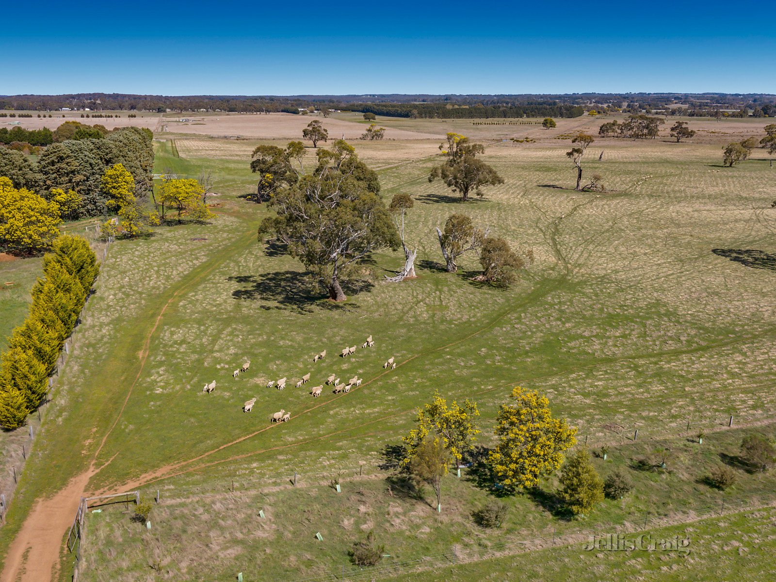 167 Bourke Lane, Tylden image 7