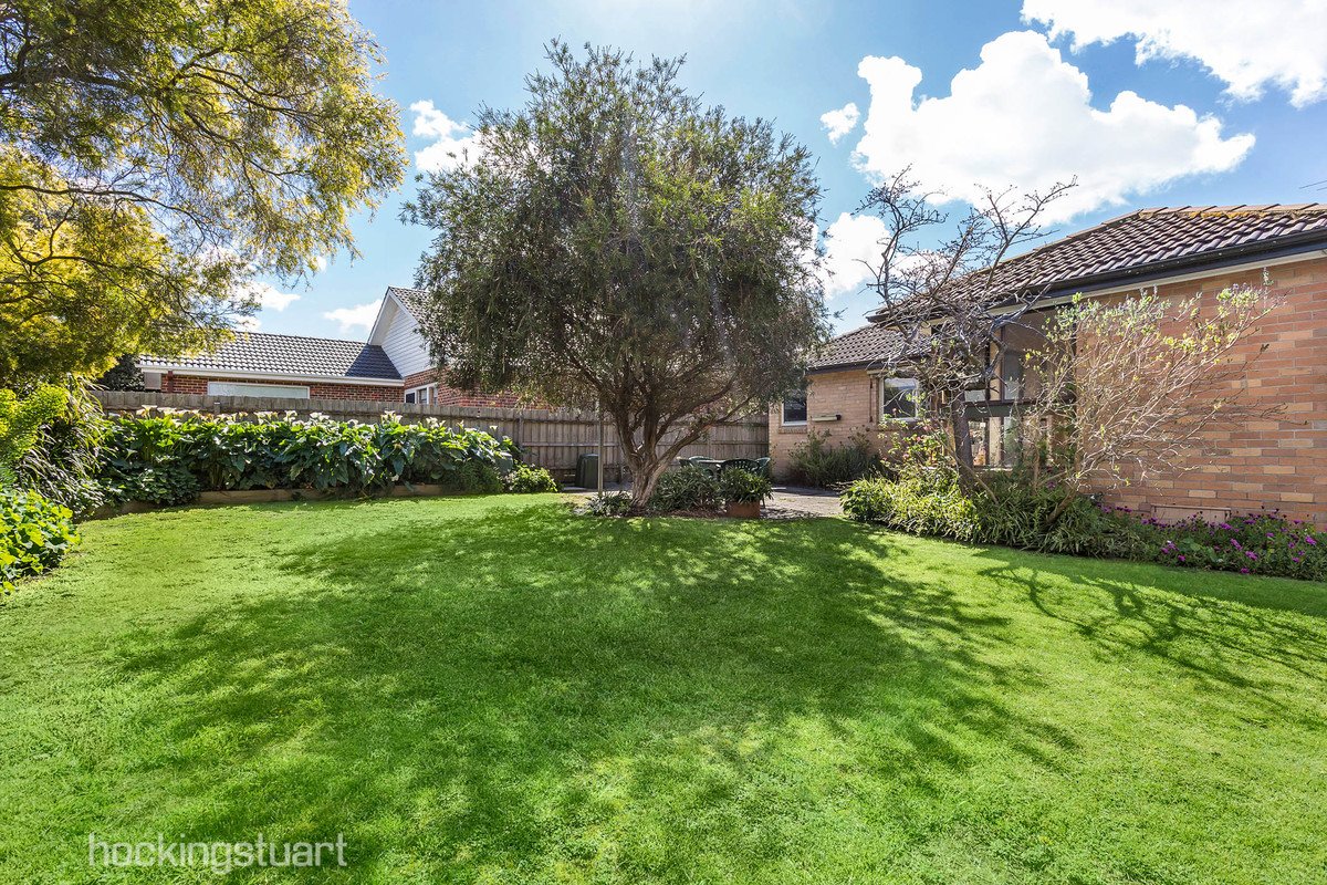 167 Dorking Road, Box Hill North image 9