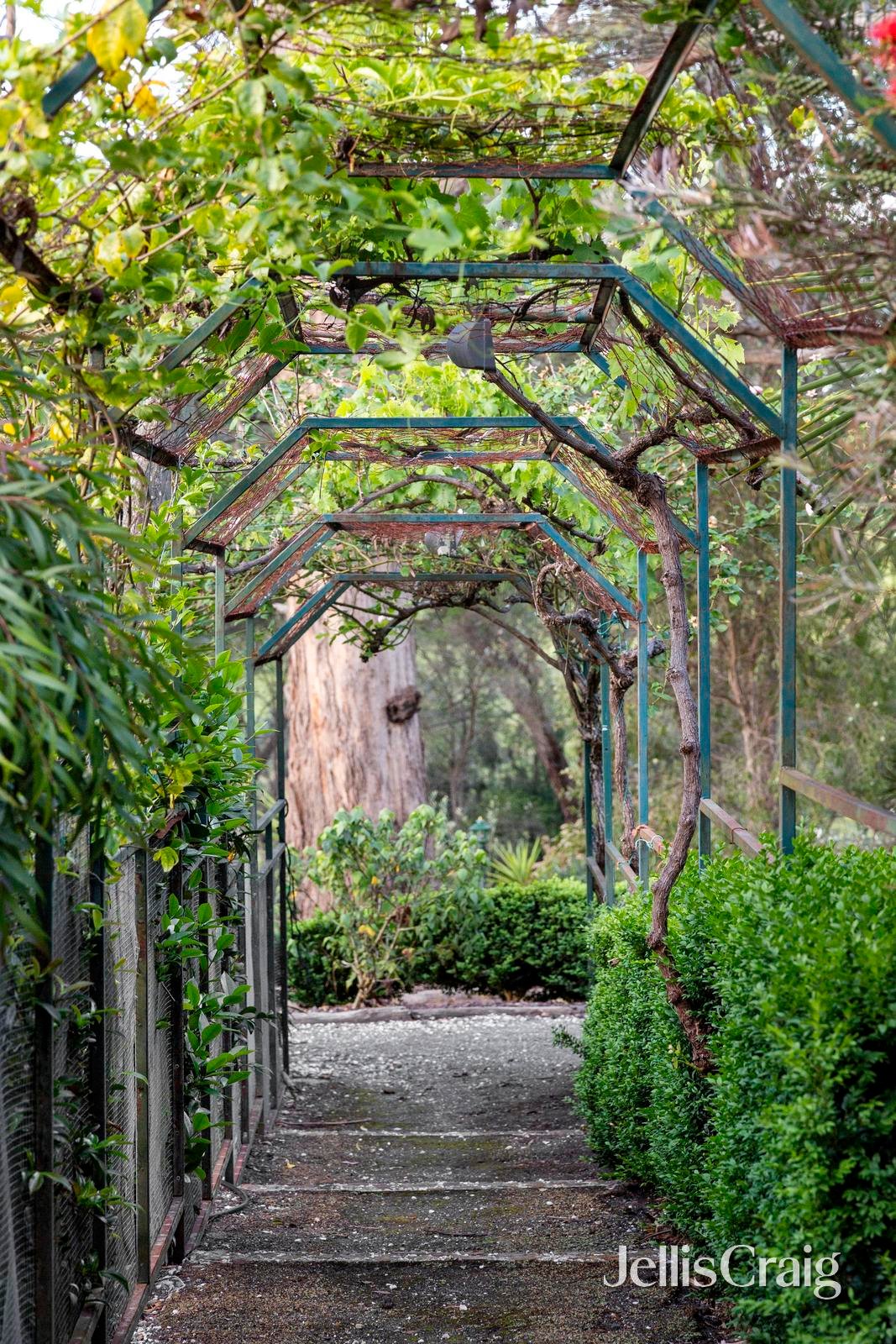 1672 Eltham-Yarra Glen Road, Christmas Hills image 20