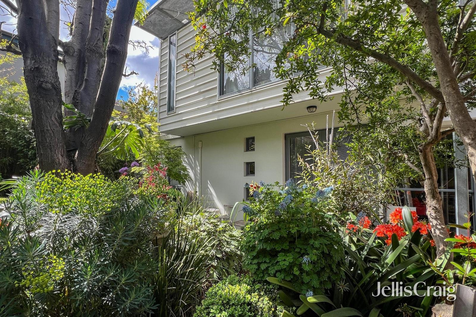 16B Council Street, Clifton&nbsp;Hill image 1