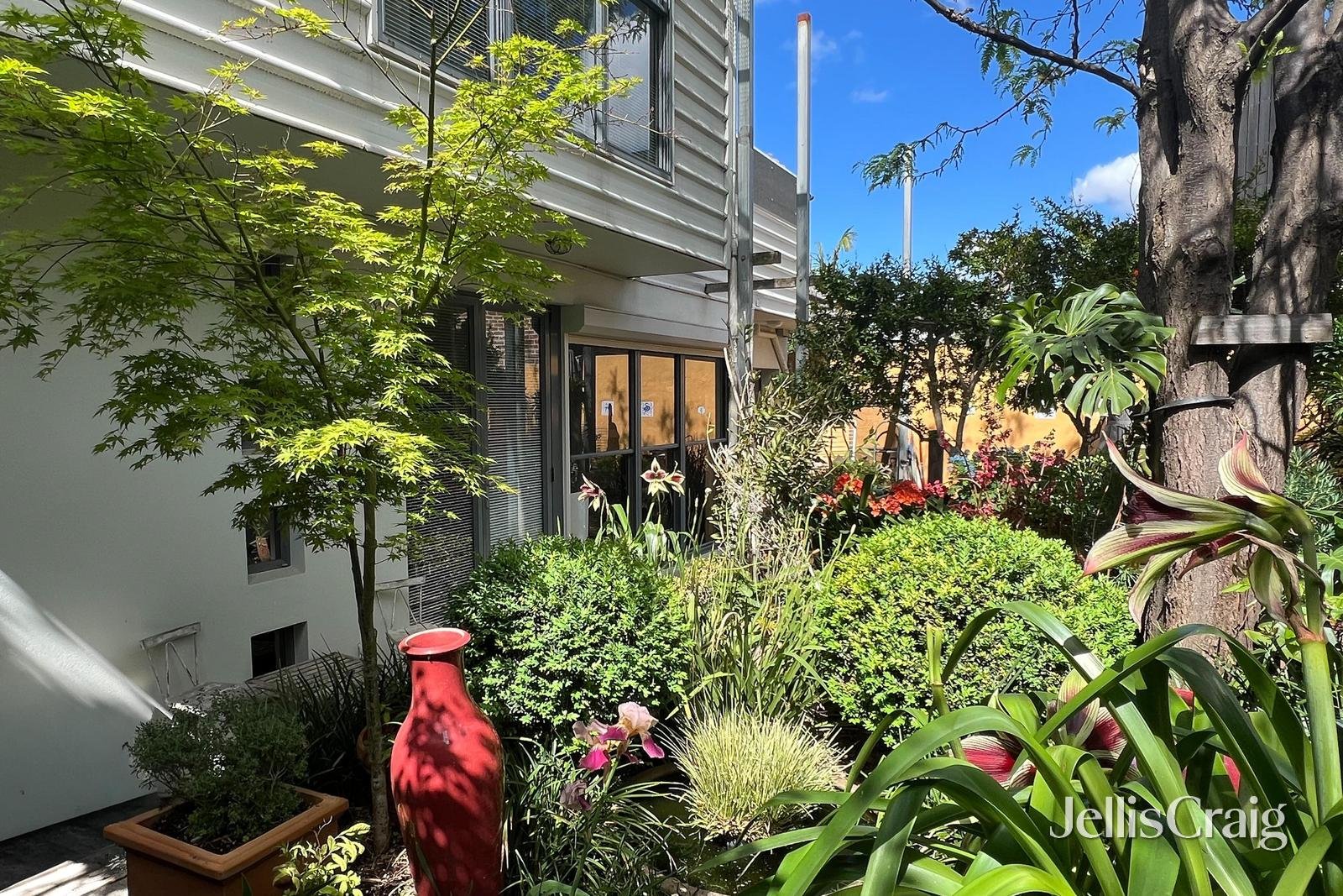 16B Council Street, Clifton&nbsp;Hill image 15