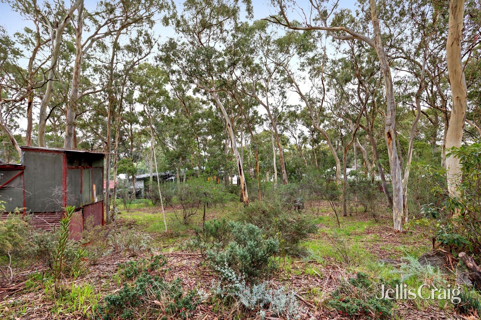 17-19 Carnon Street, Greensborough image 12