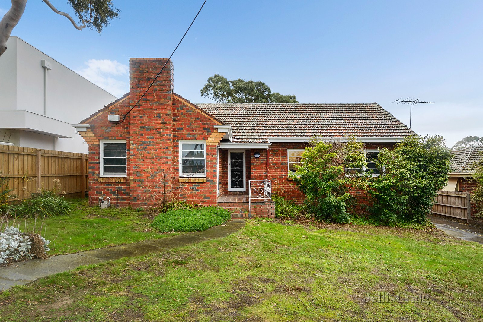 17 Abbott Street, Balwyn North image 1