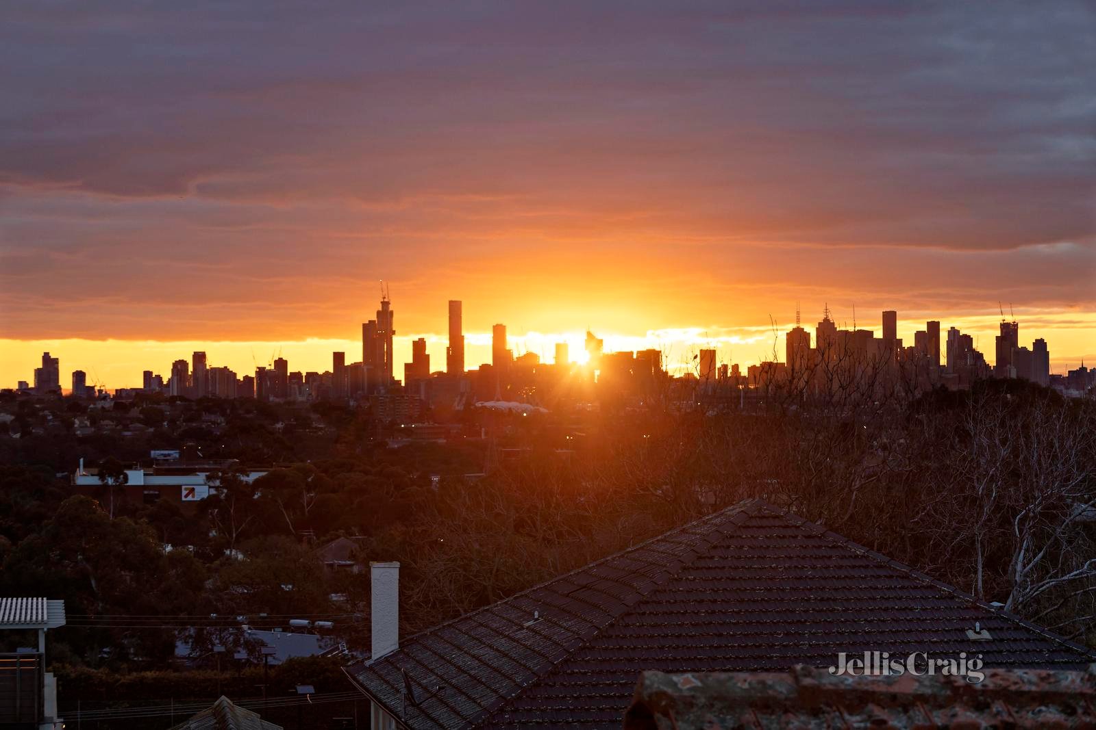 17 Anderson Road, Hawthorn East image 3