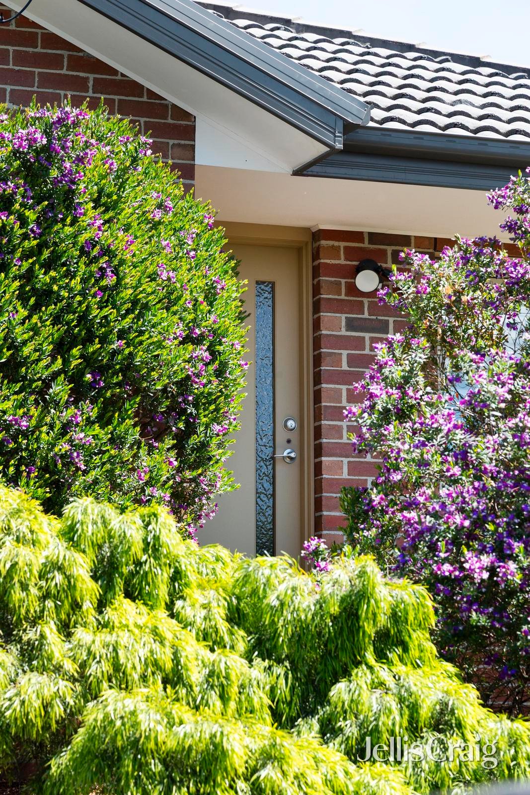 17 Braid Hill Road, Macleod image 2