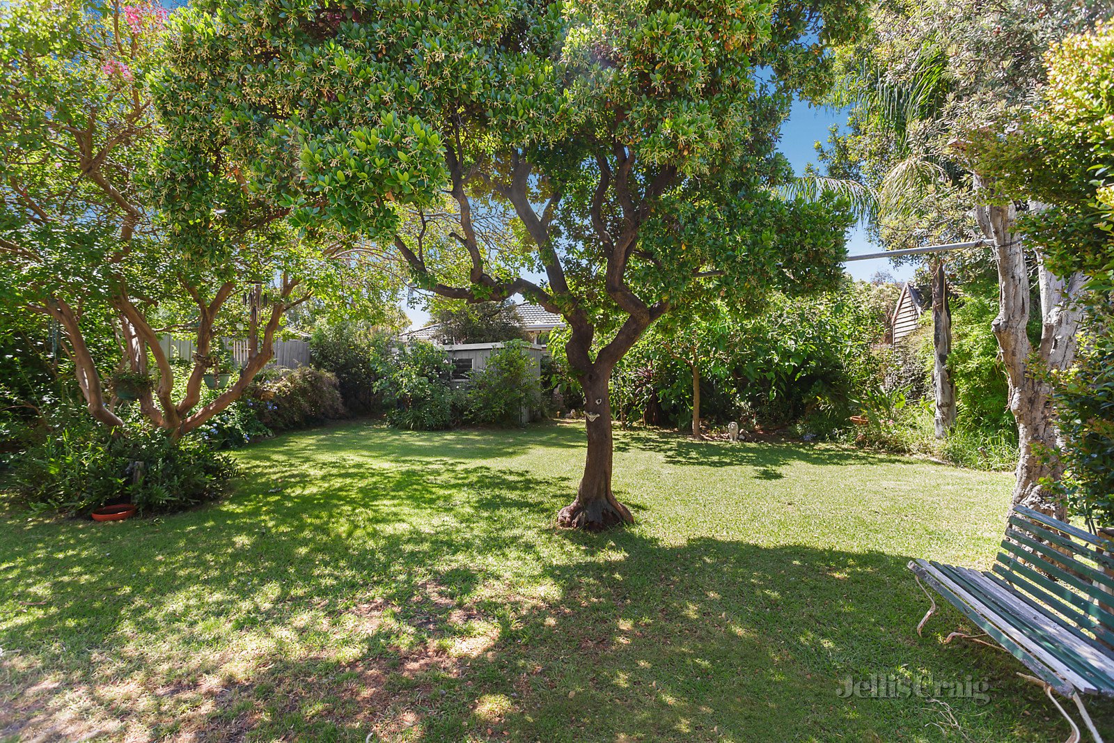 17 Dewrang Crescent, Blackburn image 6