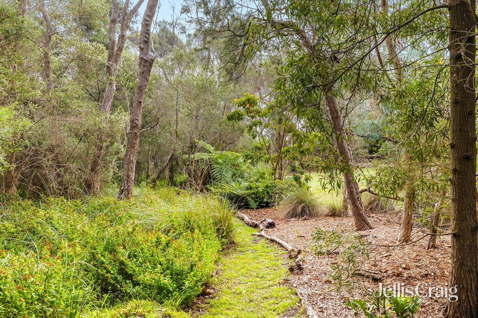 17 Dumossa Avenue, Rosebud image 12