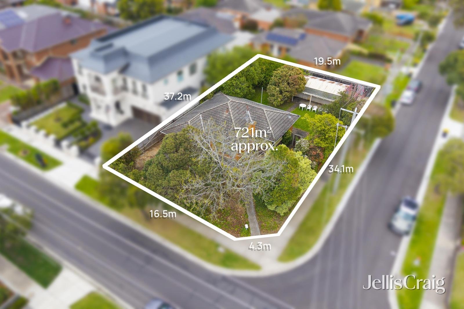 17 Fraser Street, Glen Waverley image 11
