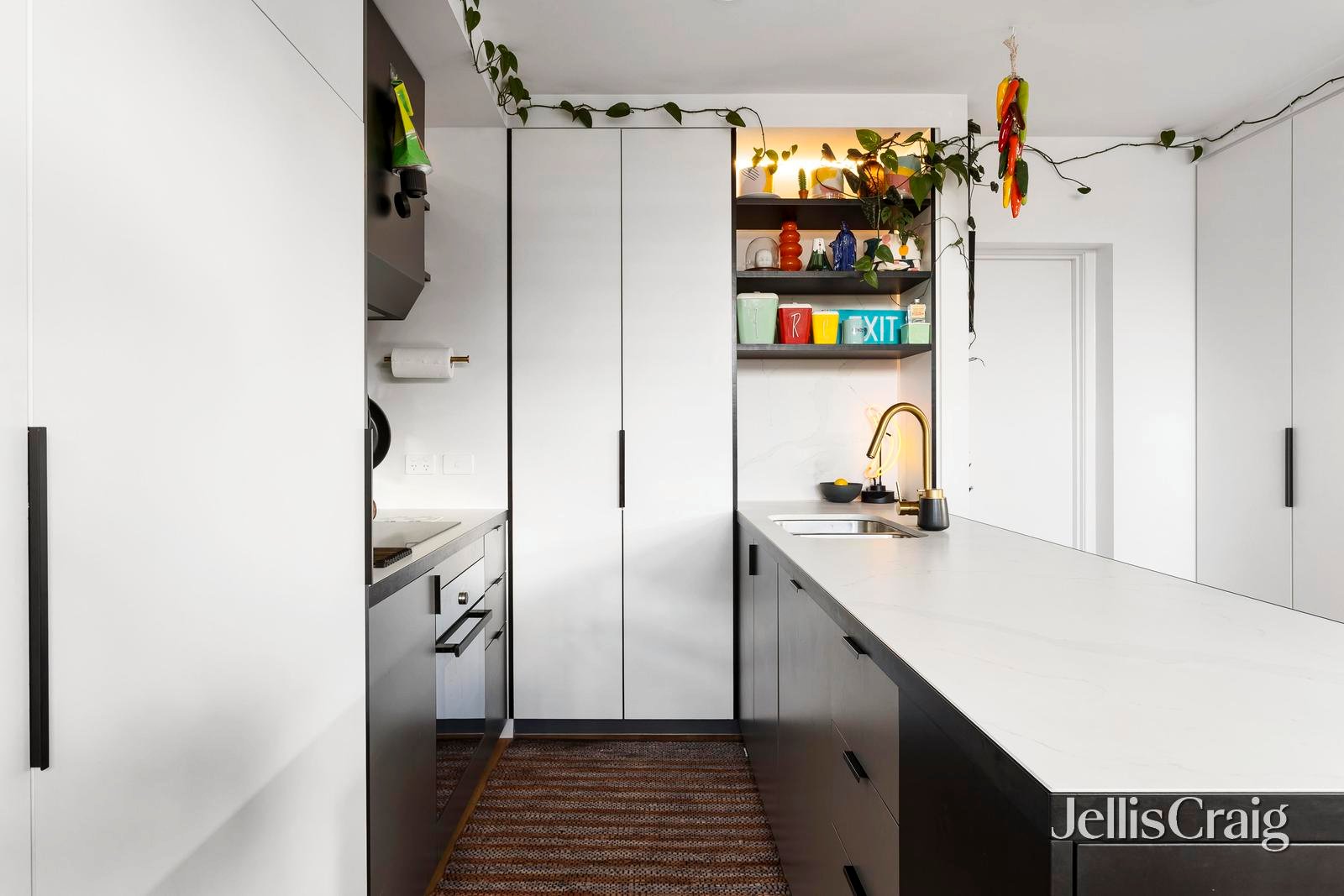 17 Hodgson Street, Fitzroy image 3