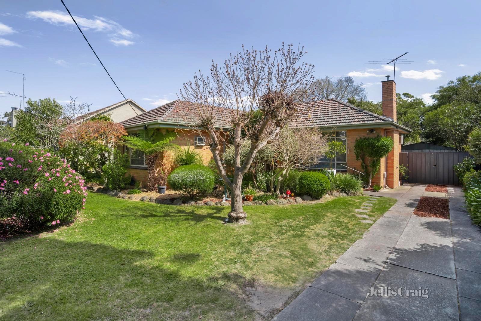 17 Kingsnorth Street, Doncaster image 2