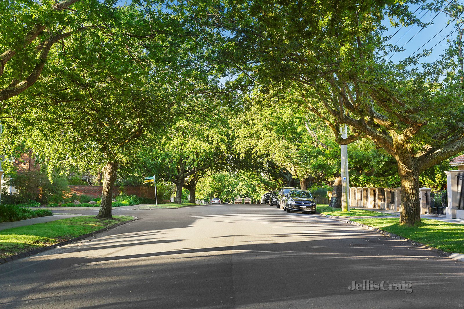 17 Knutsford Street, Balwyn image 9