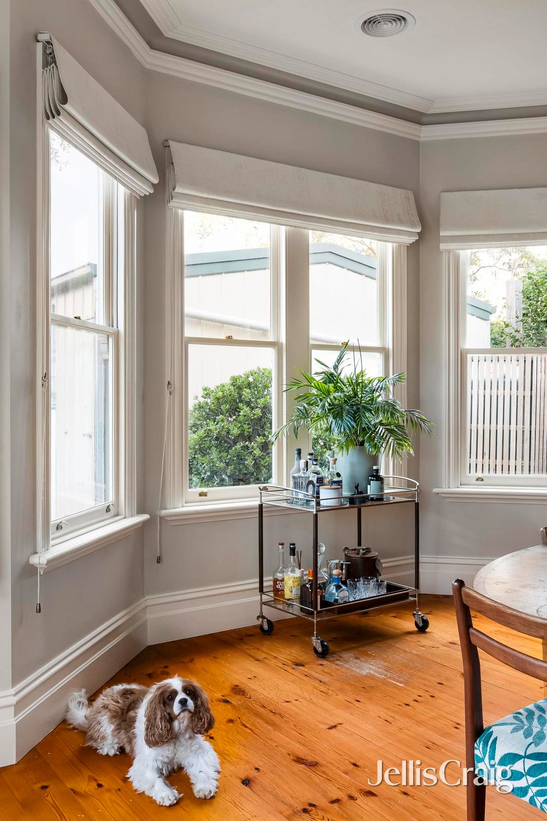 17 Lanark Street, Brunswick&nbsp;East image 7