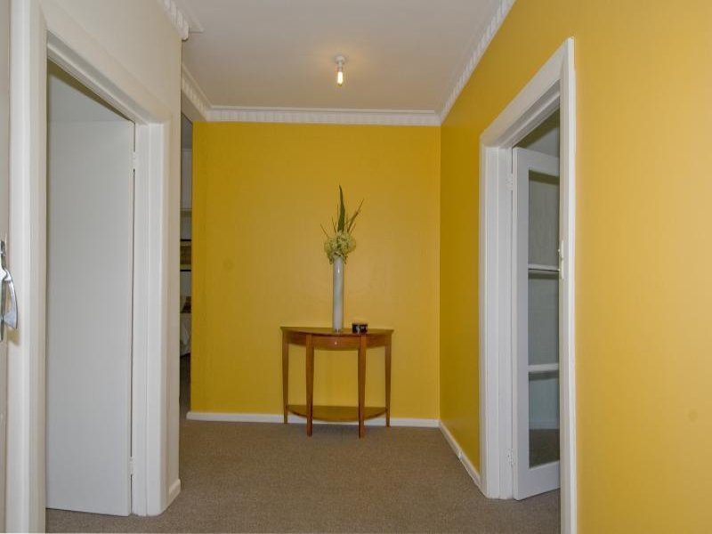 17 McCurdy Road, Herne Hill image 4
