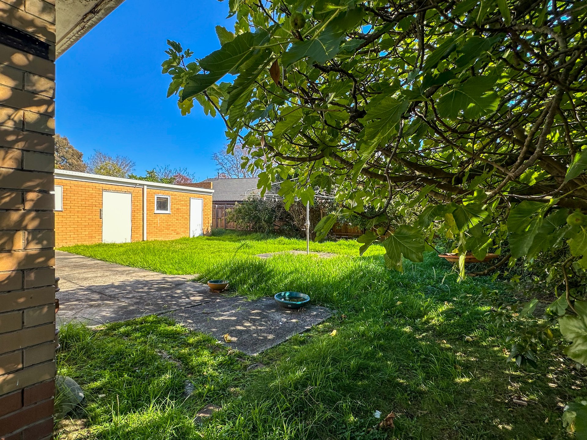 17 Mill Avenue, Forest&nbsp;Hill image 7