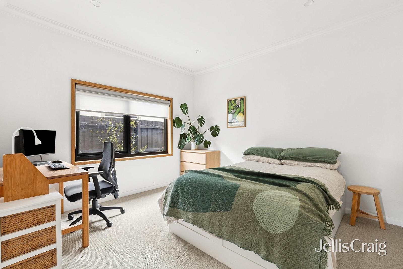 17 Mowat Street, Geelong West image 14