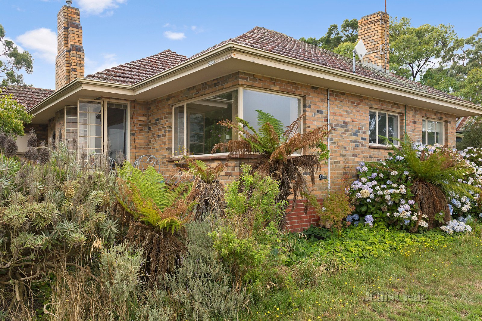 17 Orchard Lane, Brown Hill image 3