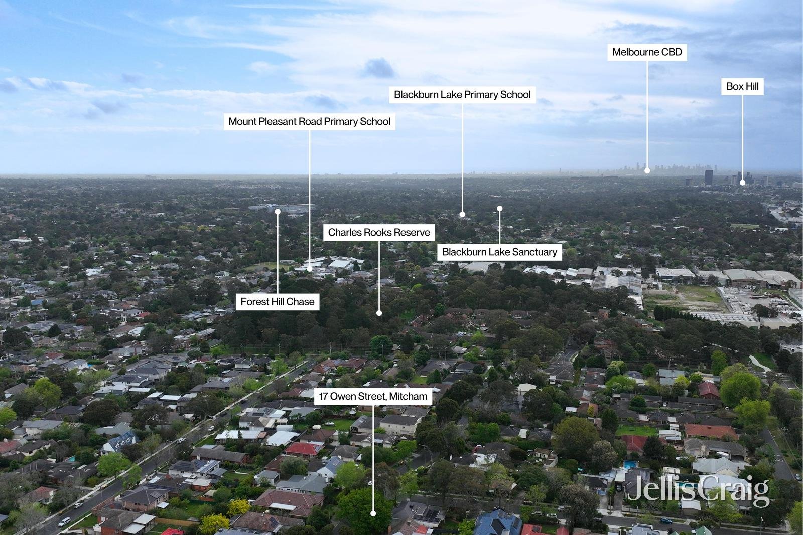17 Owen Street, Mitcham image 14