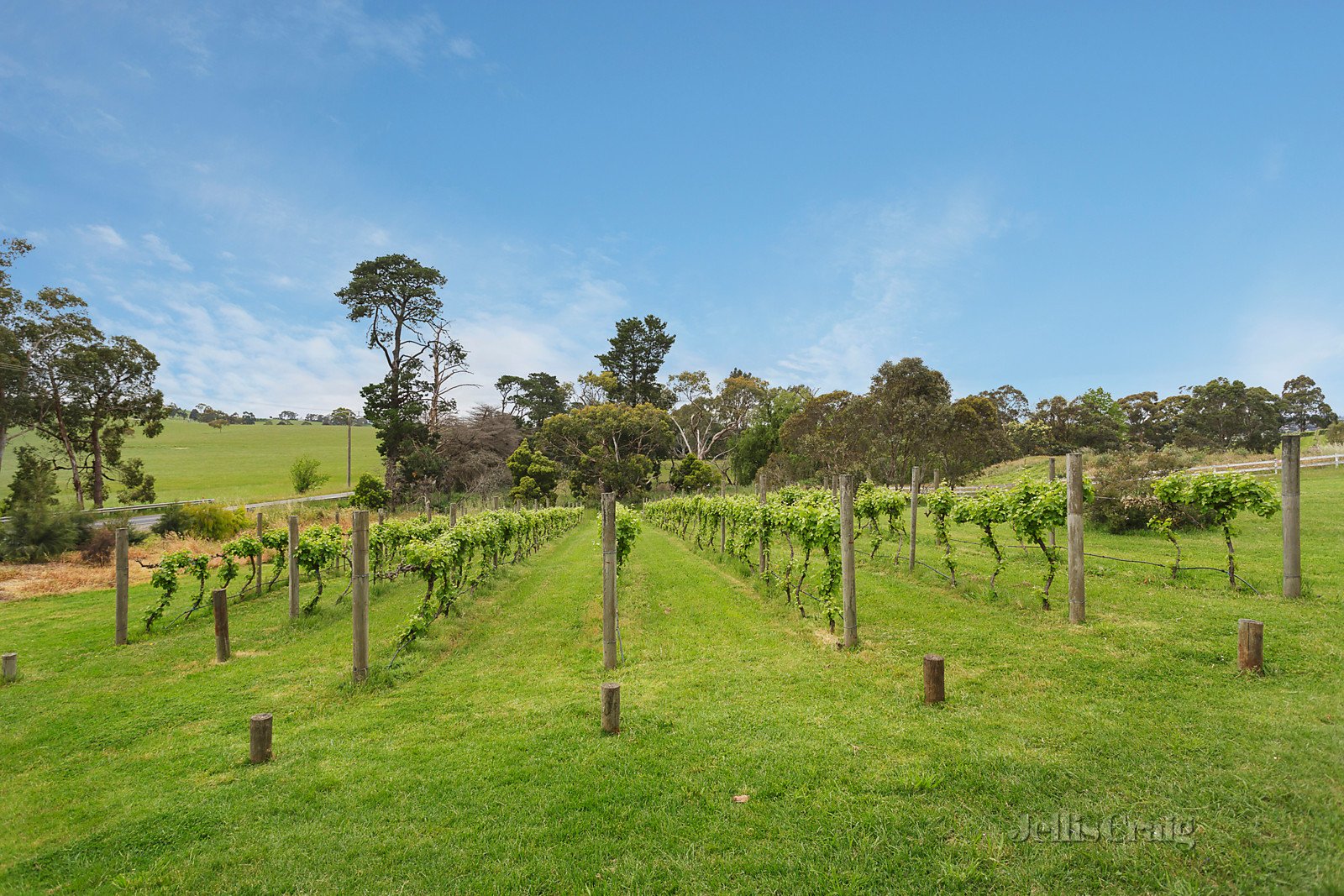 17 Paynes Road, Chirnside Park image 6