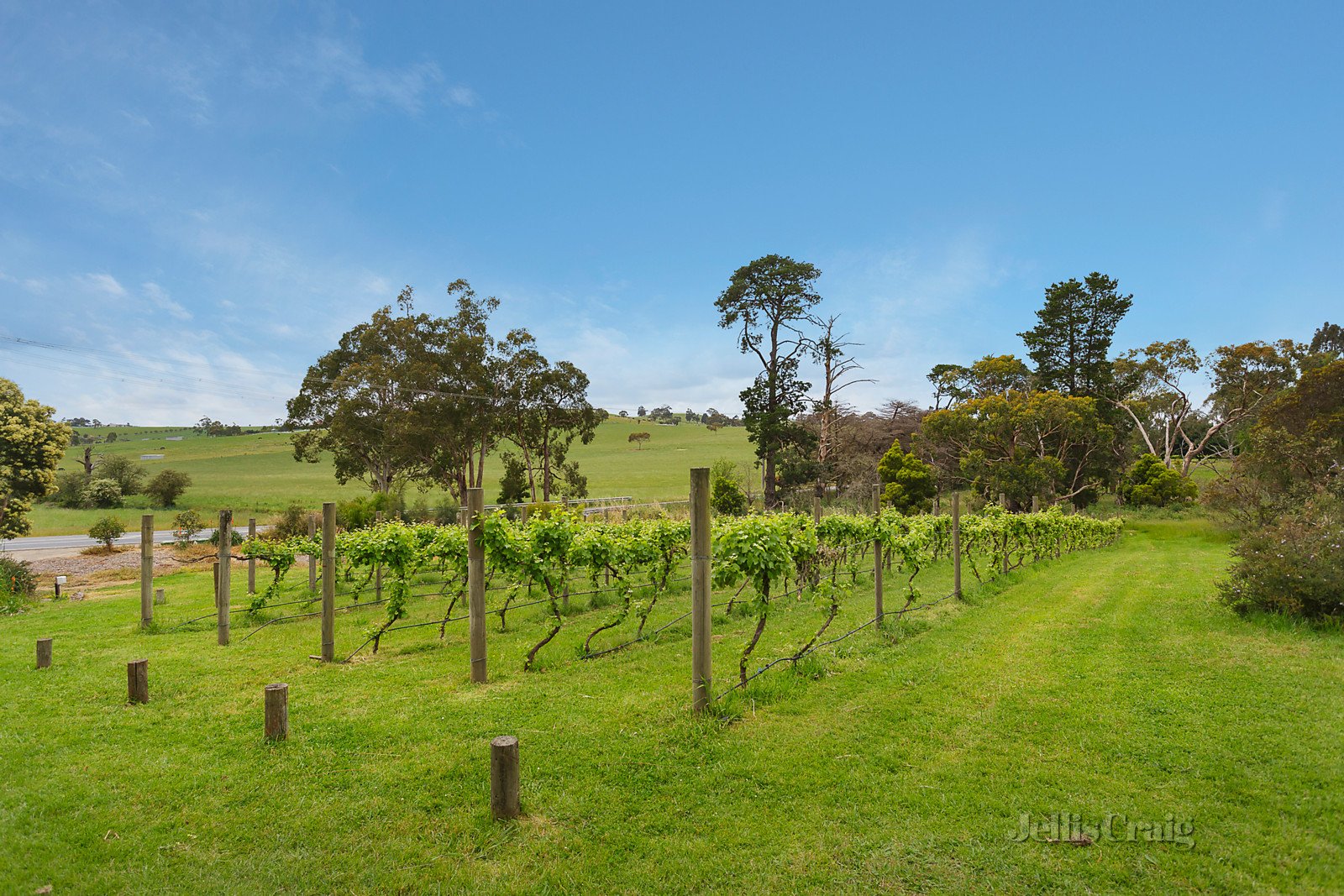 17 Paynes Road, Chirnside Park image 7