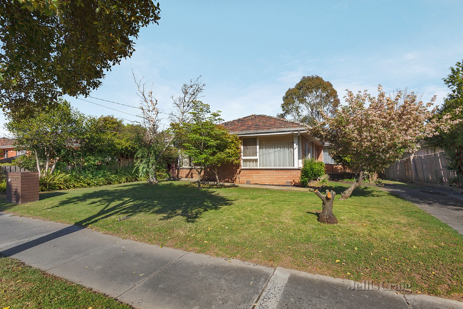 17 Ralton Avenue, Glen Waverley image 6