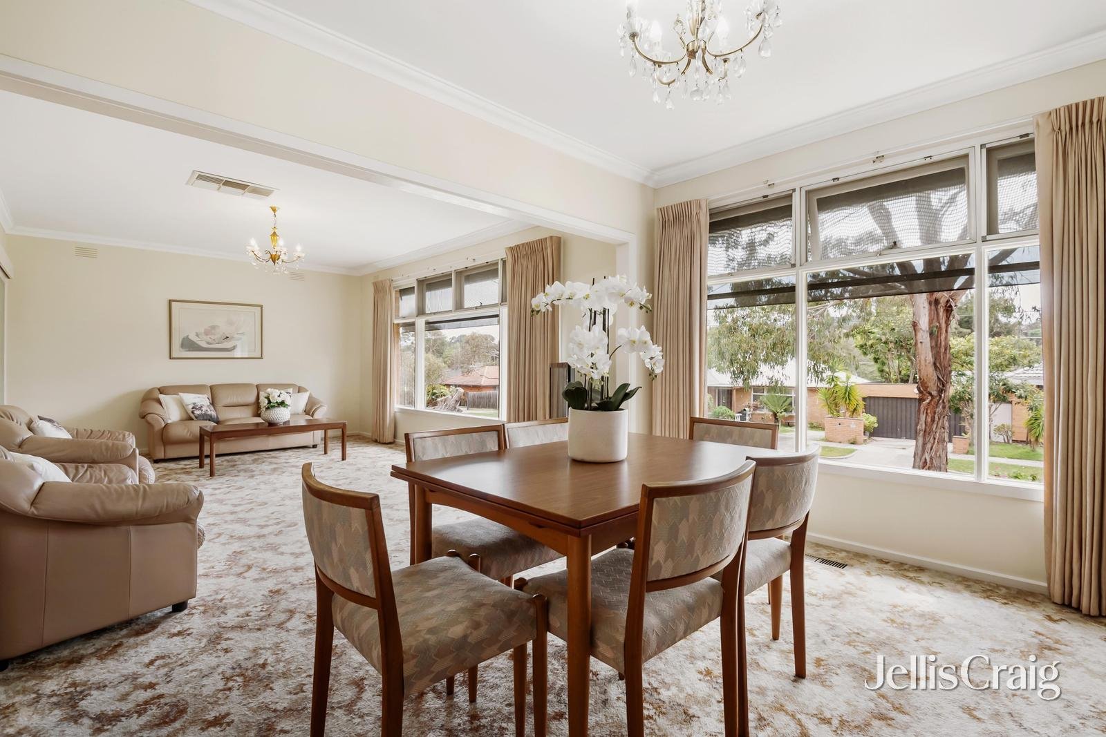 17 Shanklin Street, Box&nbsp;Hill&nbsp;North image 4