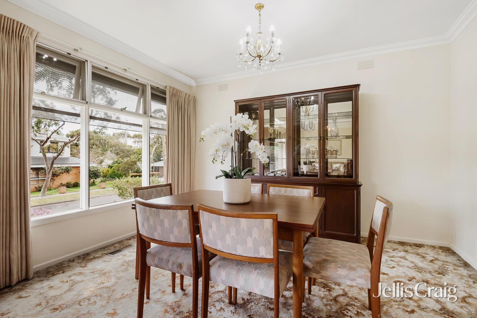 17 Shanklin Street, Box&nbsp;Hill&nbsp;North image 5