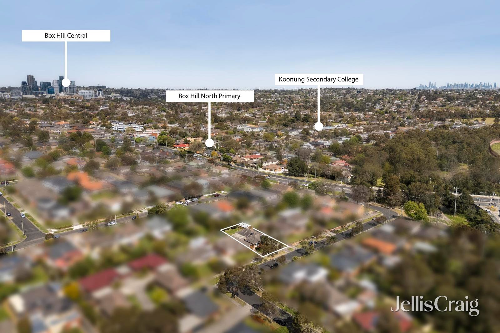 17 Shanklin Street, Box&nbsp;Hill&nbsp;North image 12