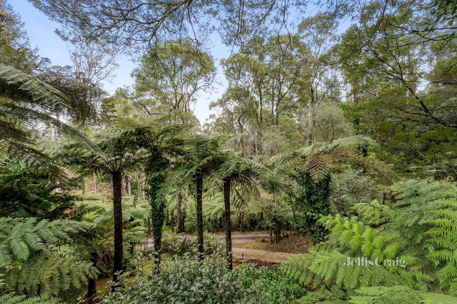 17 York Street, Warburton image 10
