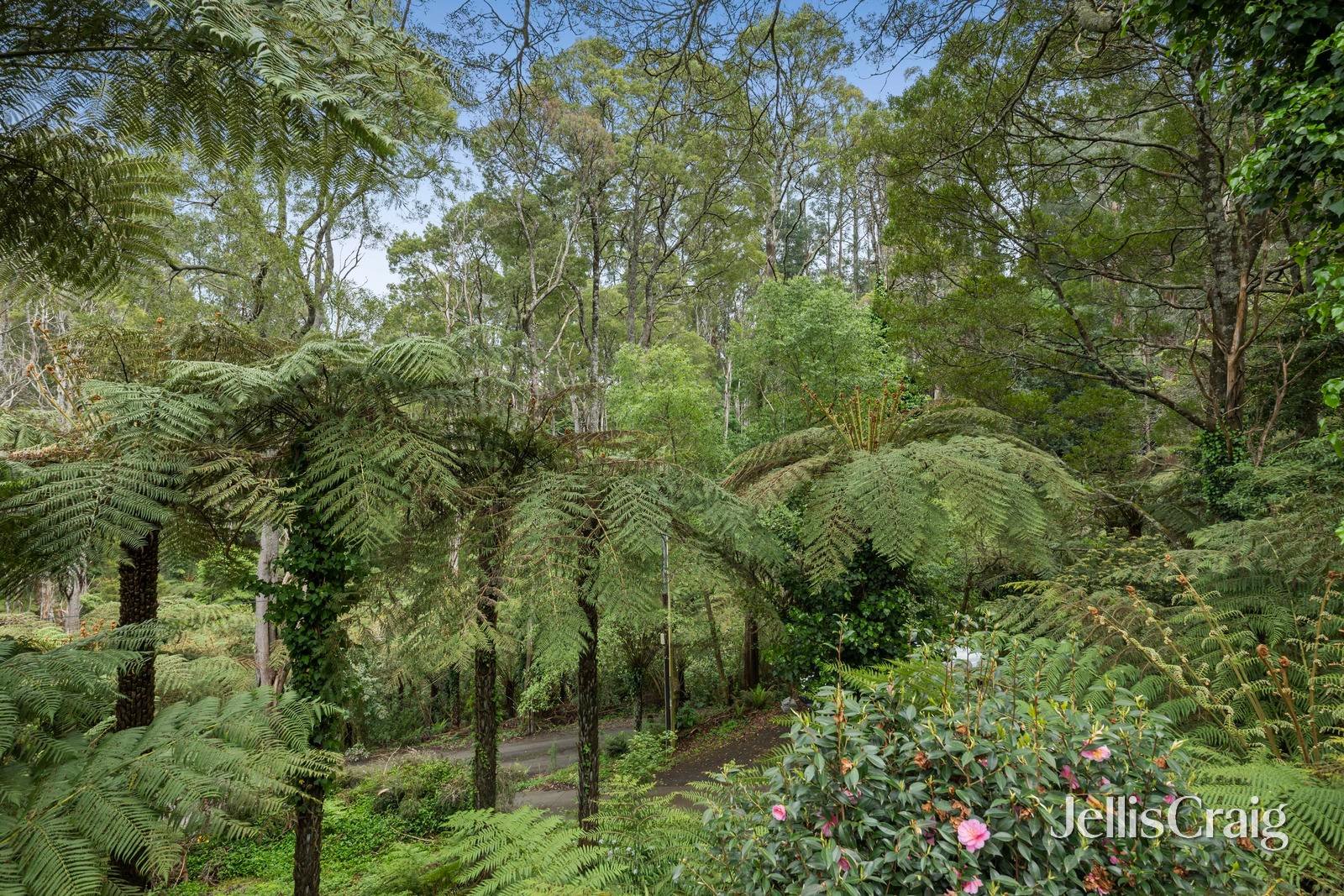 17 York Street, Warburton image 17