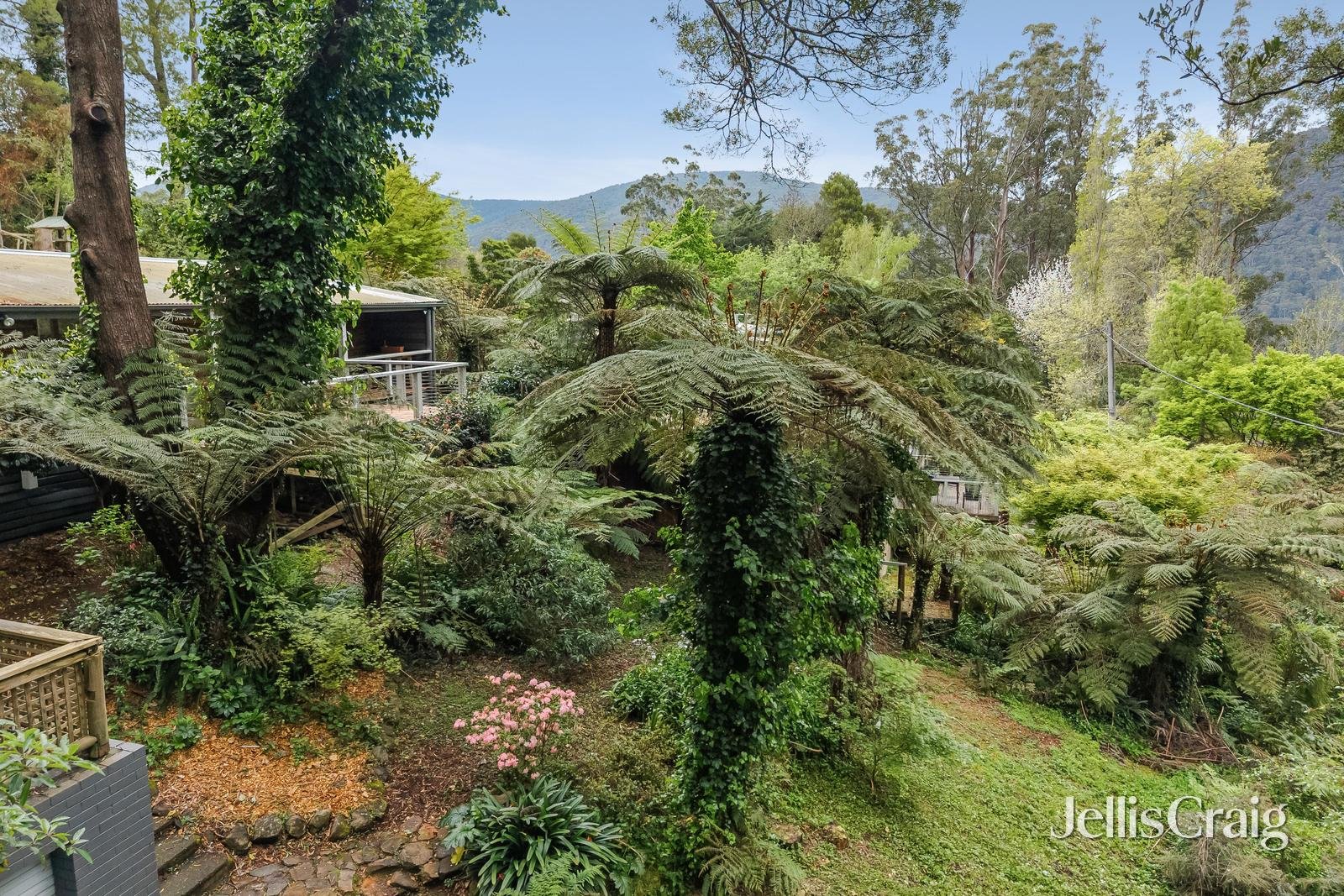 17 York Street, Warburton image 18