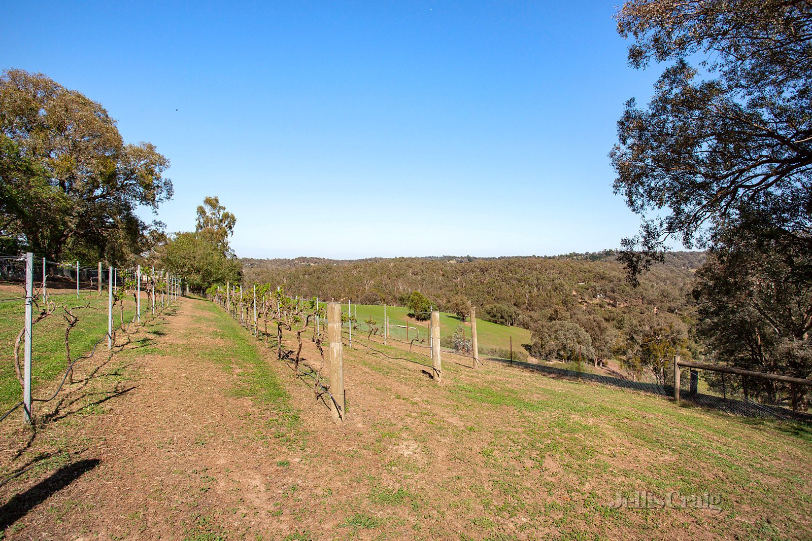 170 Menzies Road, Kangaroo Ground image 23