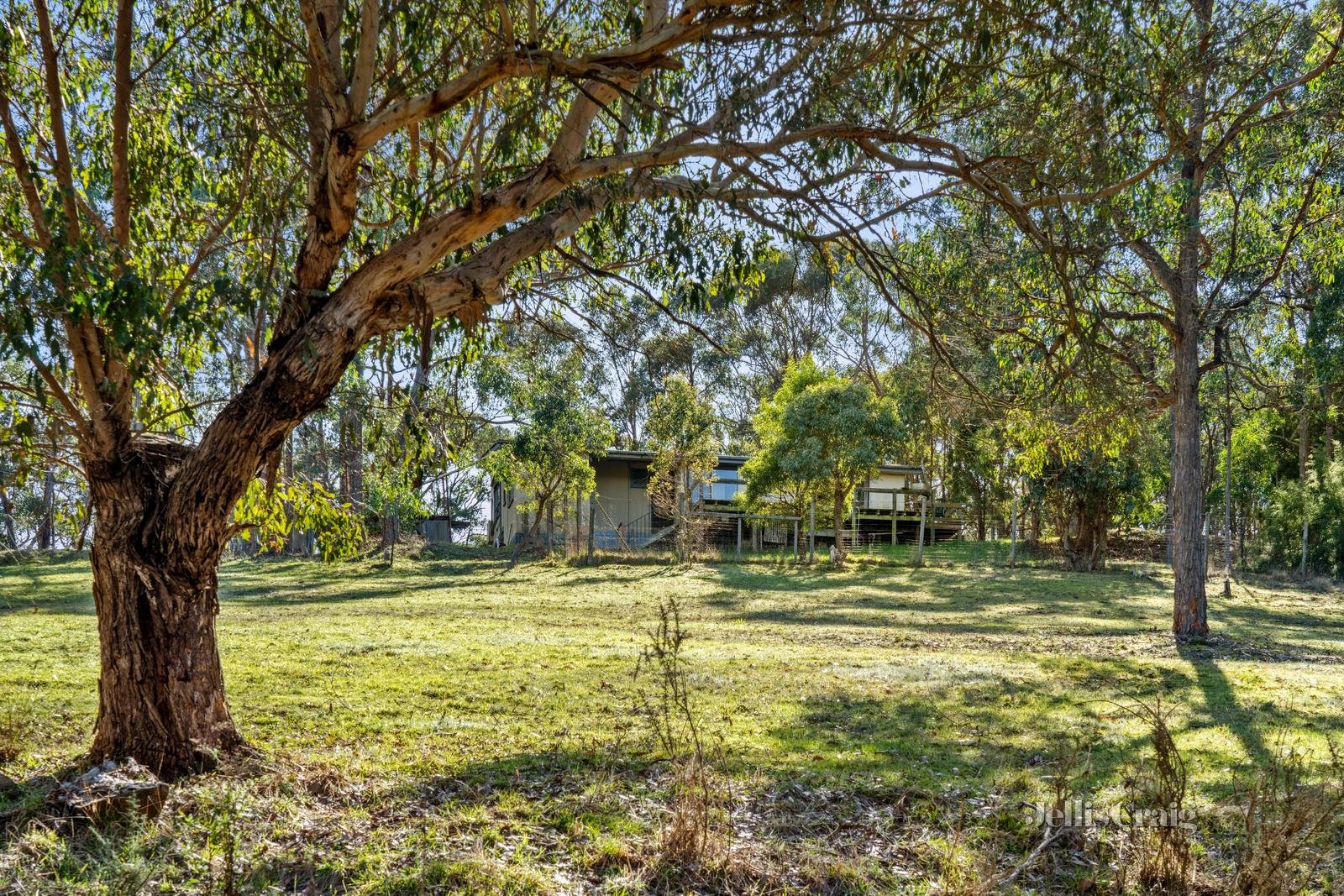 170 Skirkas Road, Buninyong image 4