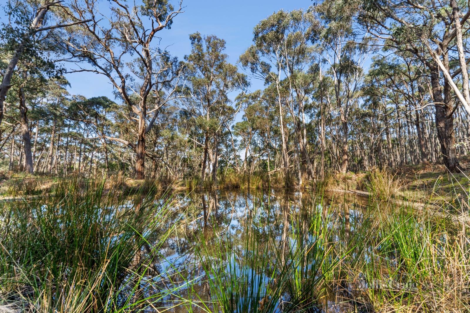 170 Skirkas Road, Buninyong image 11