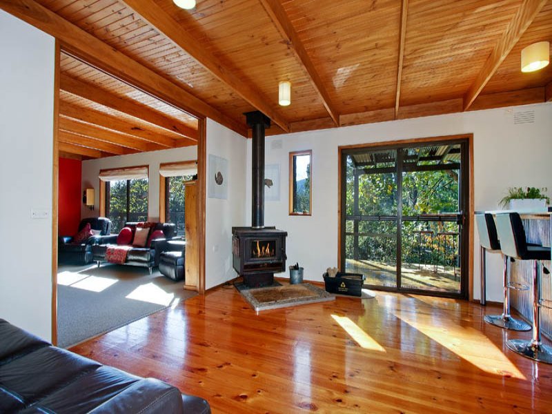 1707 Healesville/Kinglake Road, Toolangi image 5