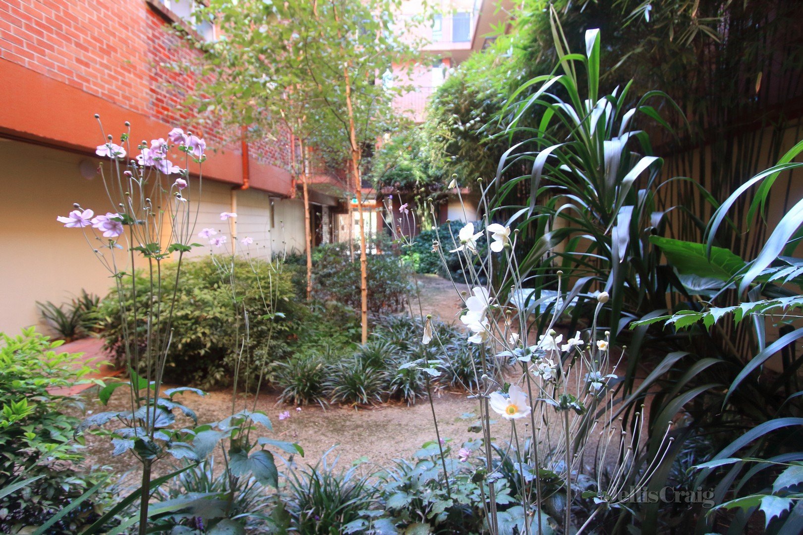 17/212-222 The Avenue, Parkville image 6