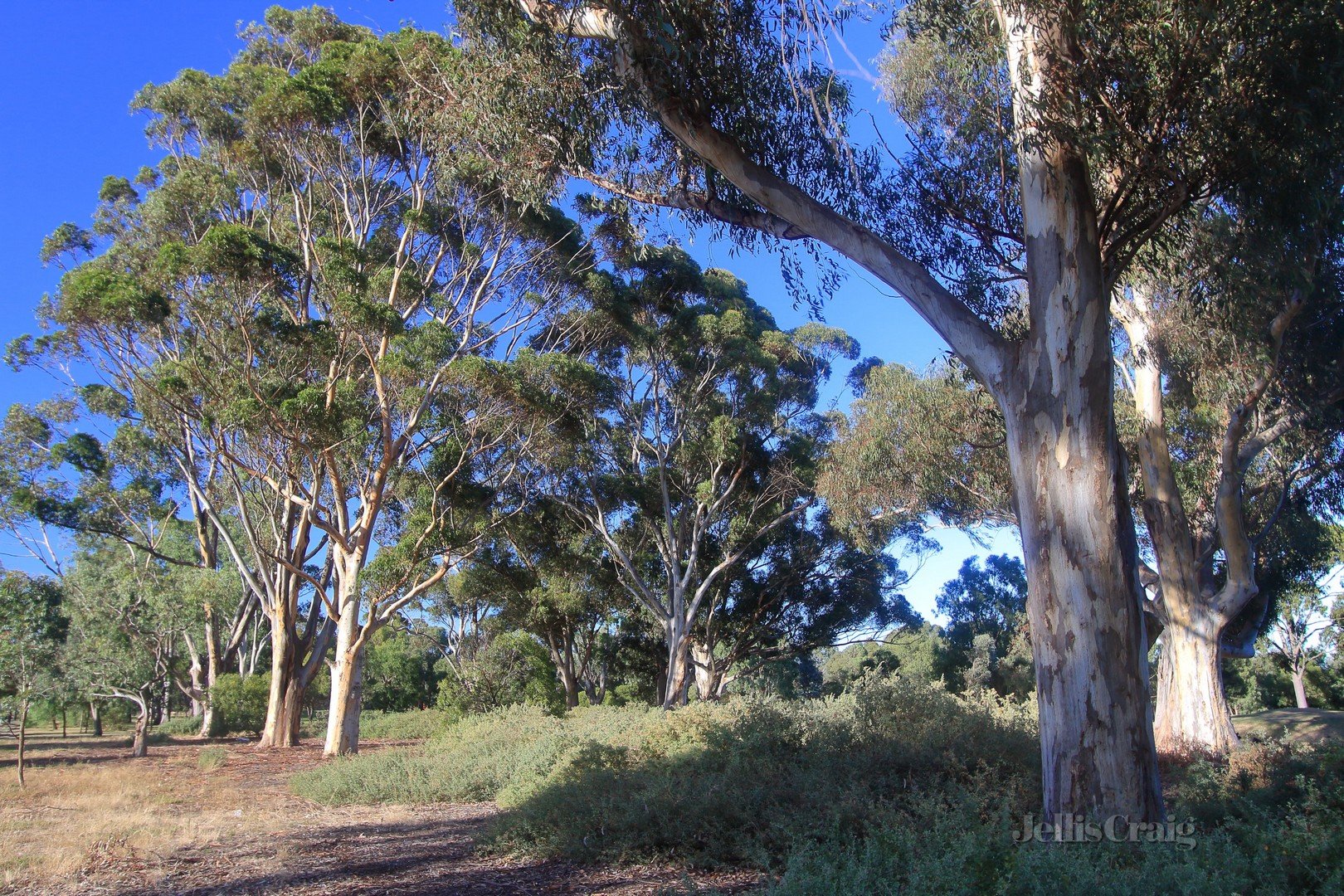 17/212-222 The Avenue, Parkville image 8